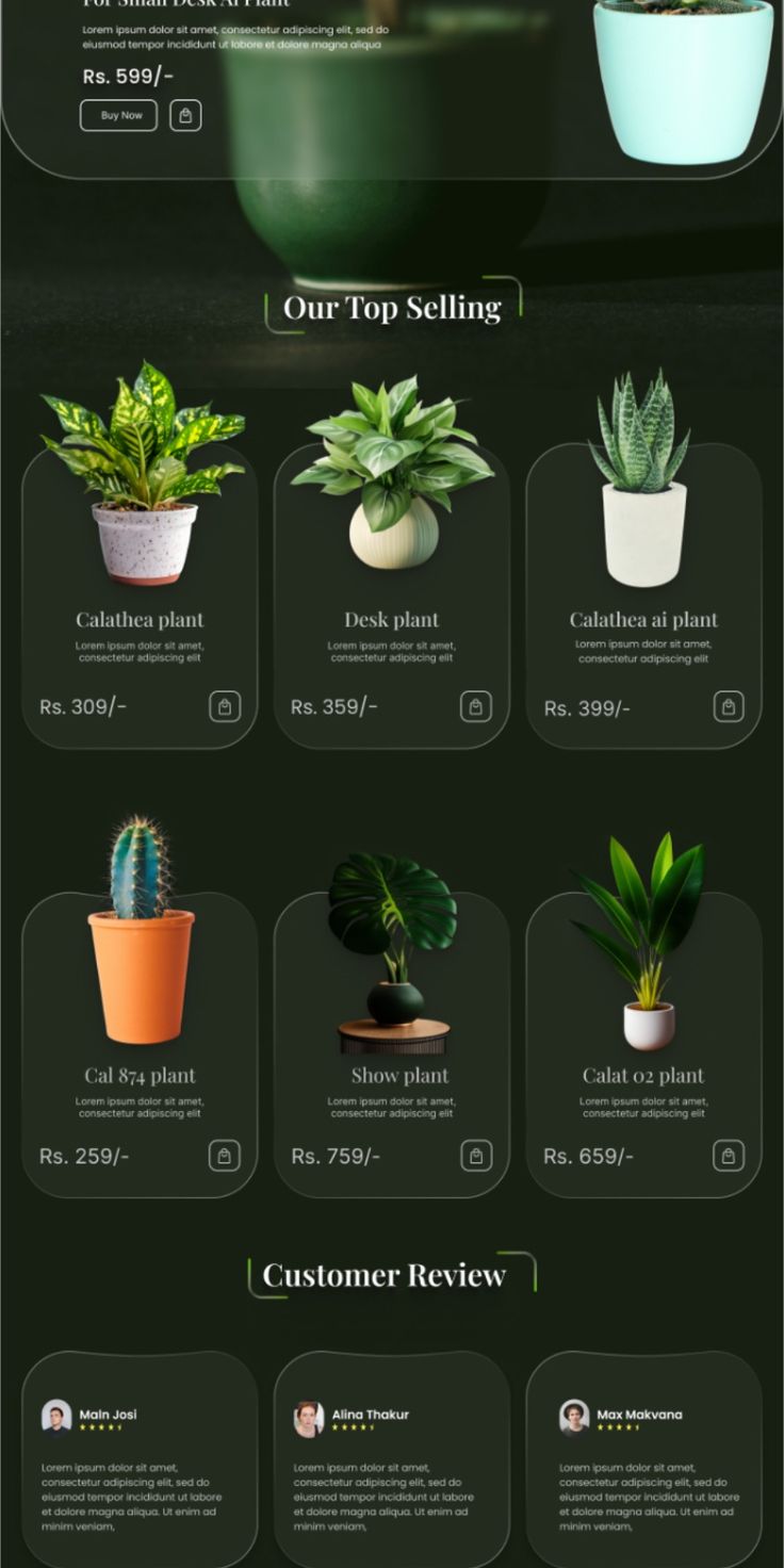 Desk Plant Co. storefront